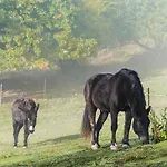Jizera Mala Skala